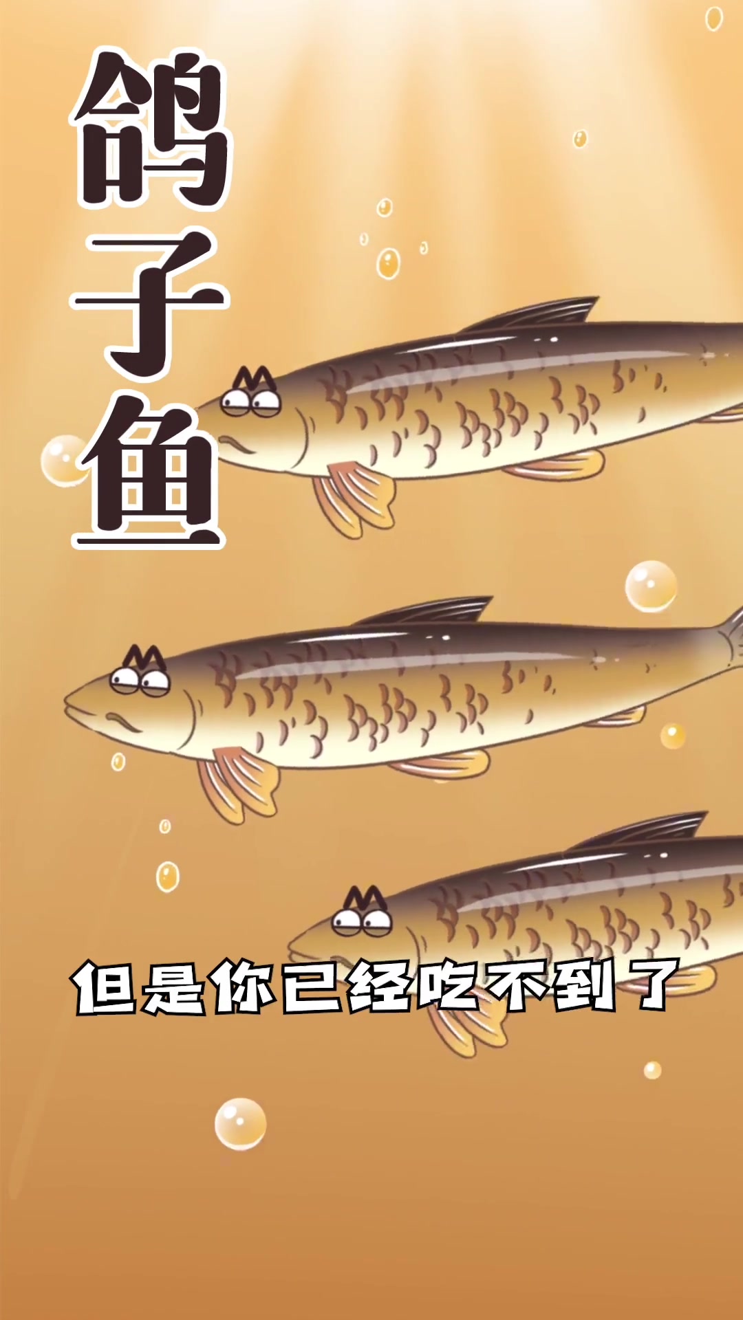 鸽子鱼为什么吃了会“牢底坐穿”！