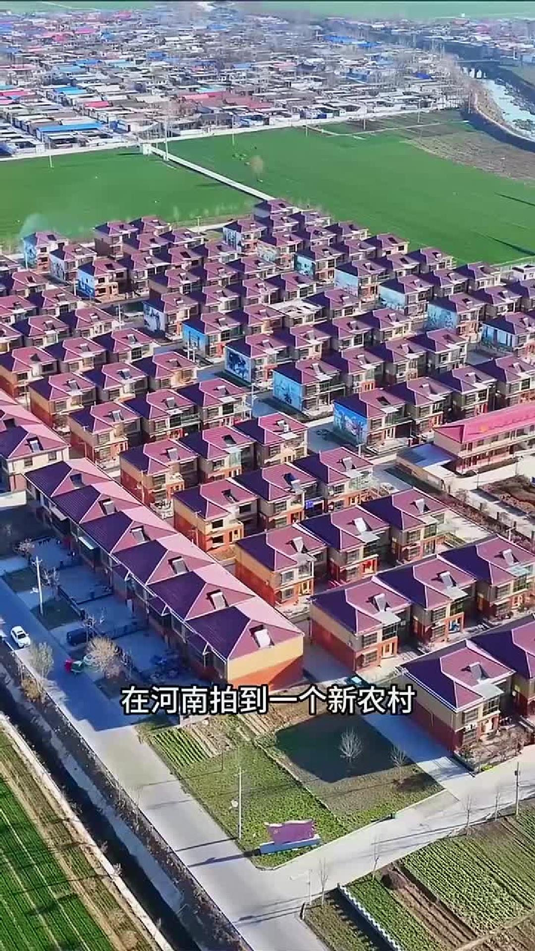 家家户户有私家菜园