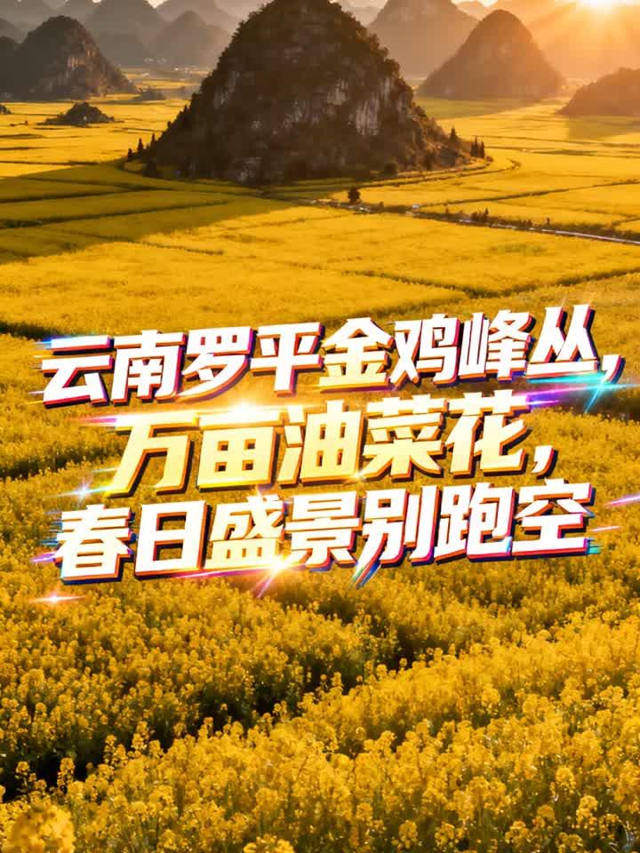 云南罗平金鸡峰丛，万亩油菜花，春日盛景别跑空