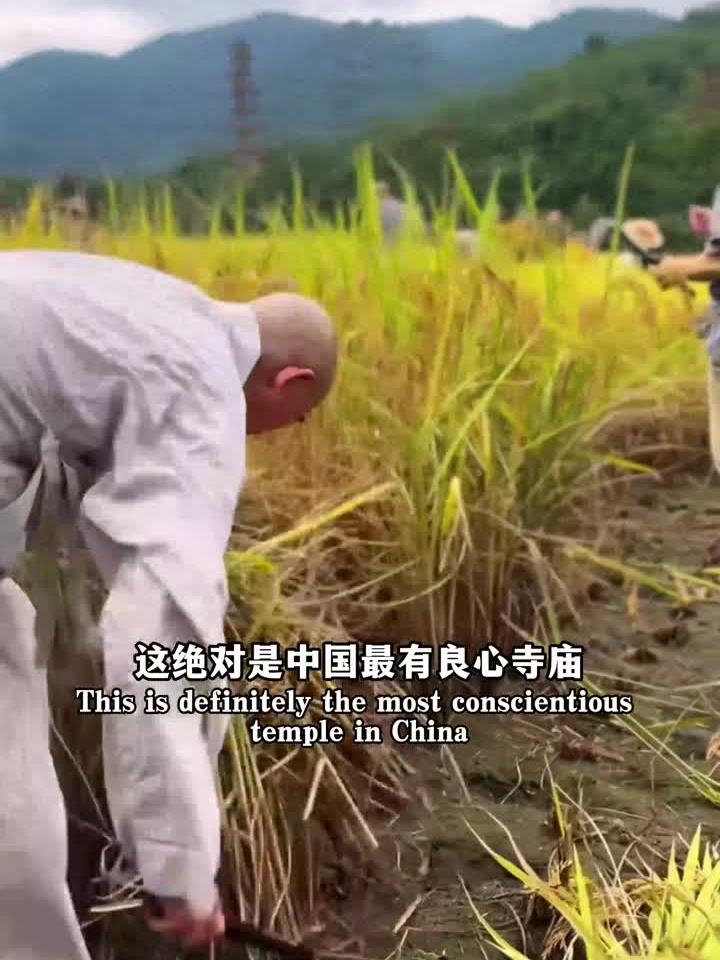 中国真正的好寺庙，僧人坚持自种粮食。