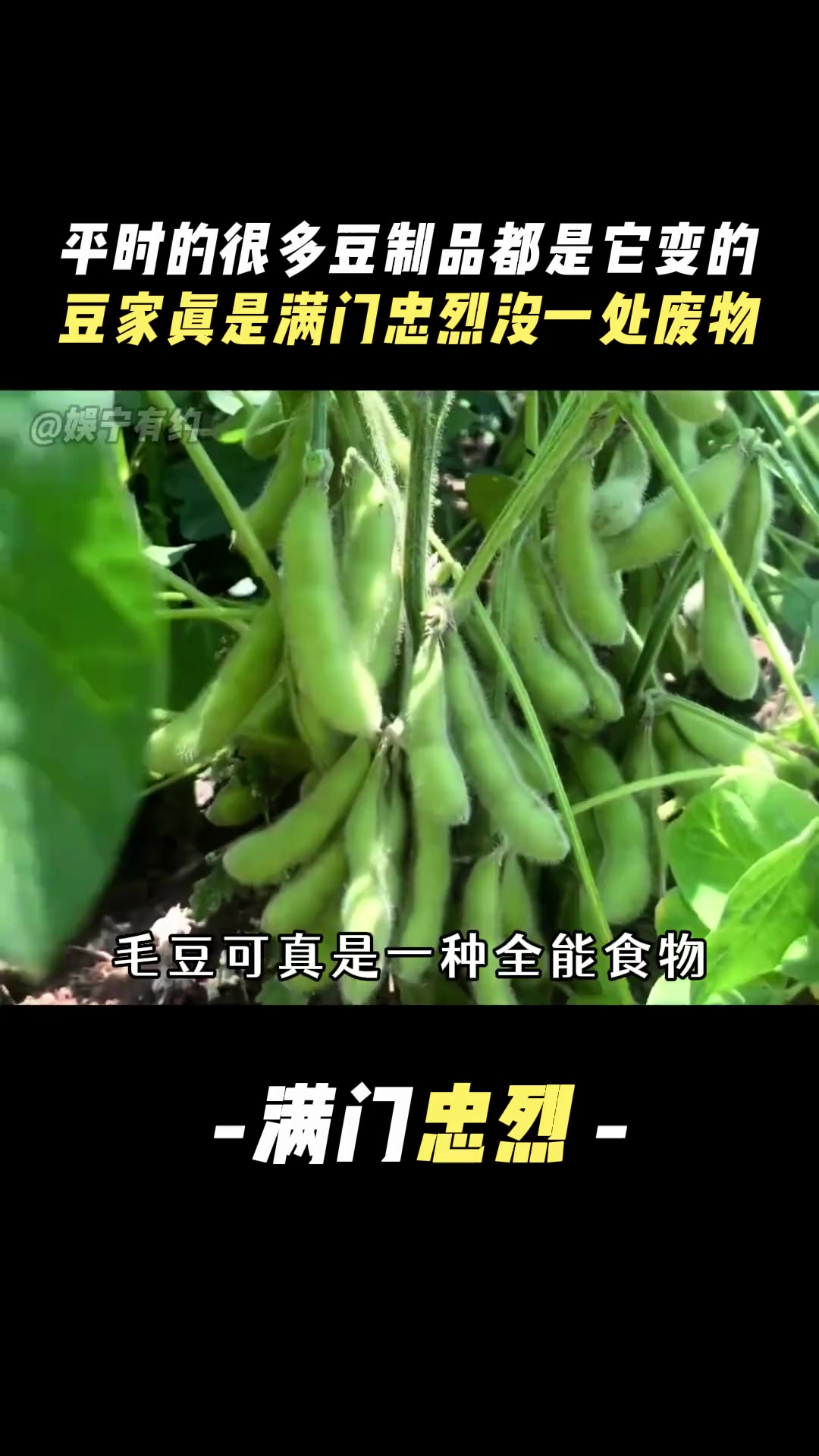 毛豆可真是一种全能食物