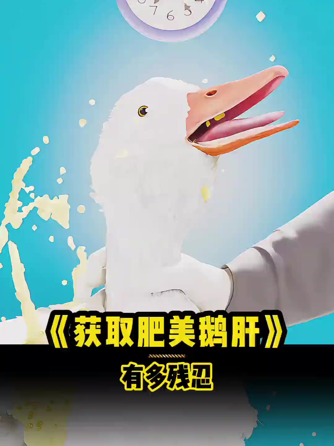 获取肥美鹅肝有多残忍