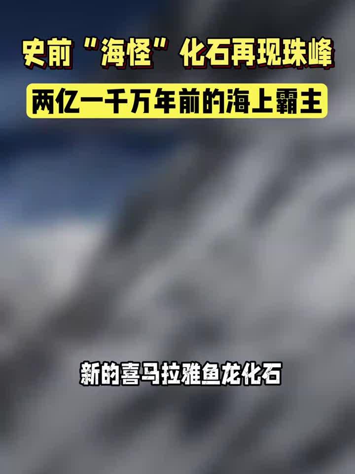 史前“海怪”化石再现珠峰！曾是两亿一千万年前的海上霸主！