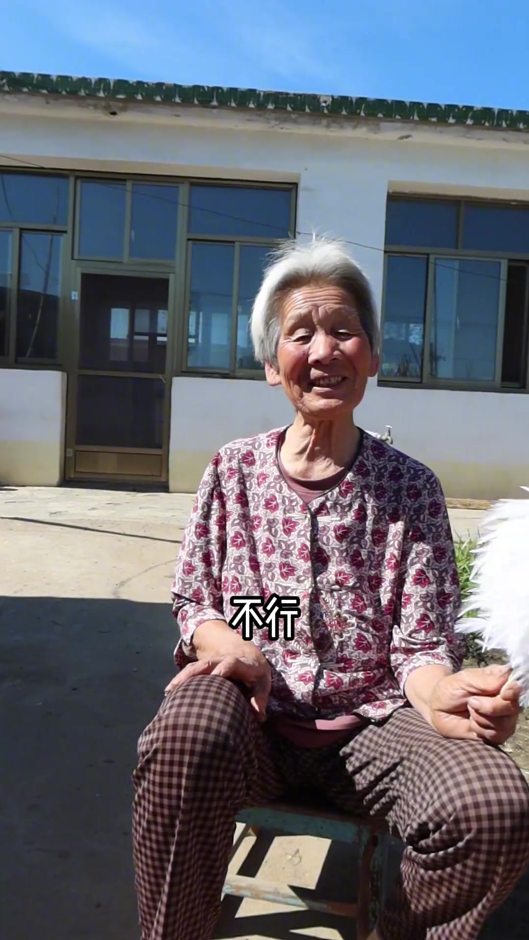 做了个鸡毛掸子,爱上大公鸡羽毛颜色的五彩斑斓