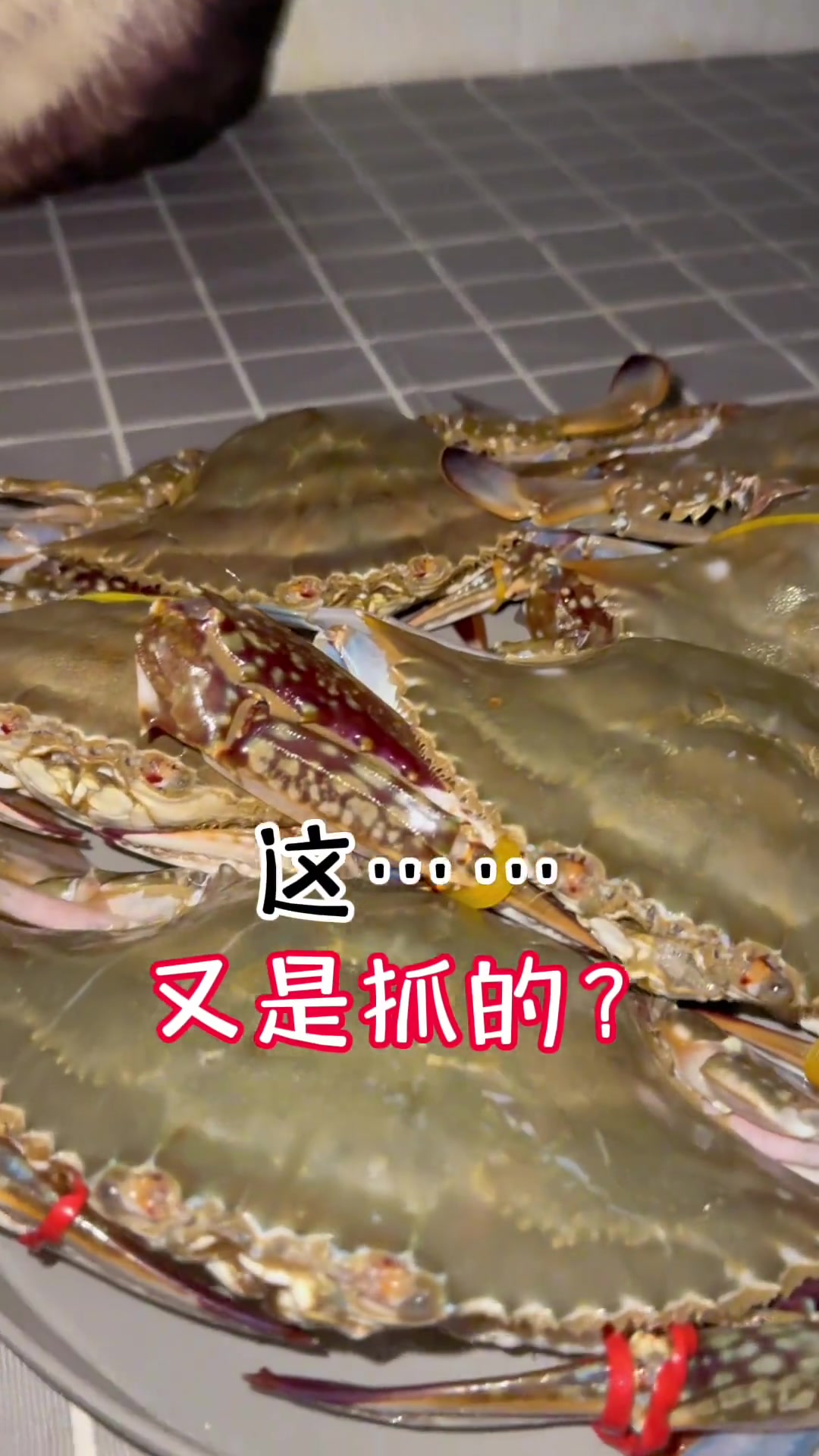 满口蟹肉的快乐