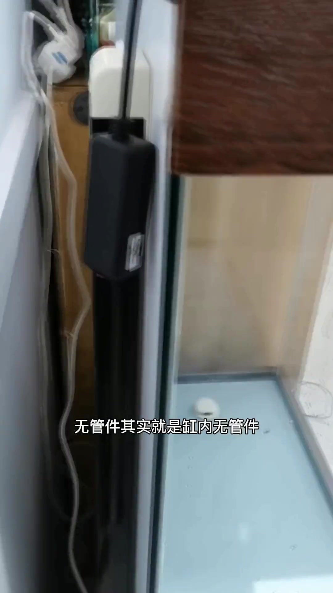 开缸啦，养蝴蝶鲤，帮鱼友们试试无管件鱼缸会不会漏水！