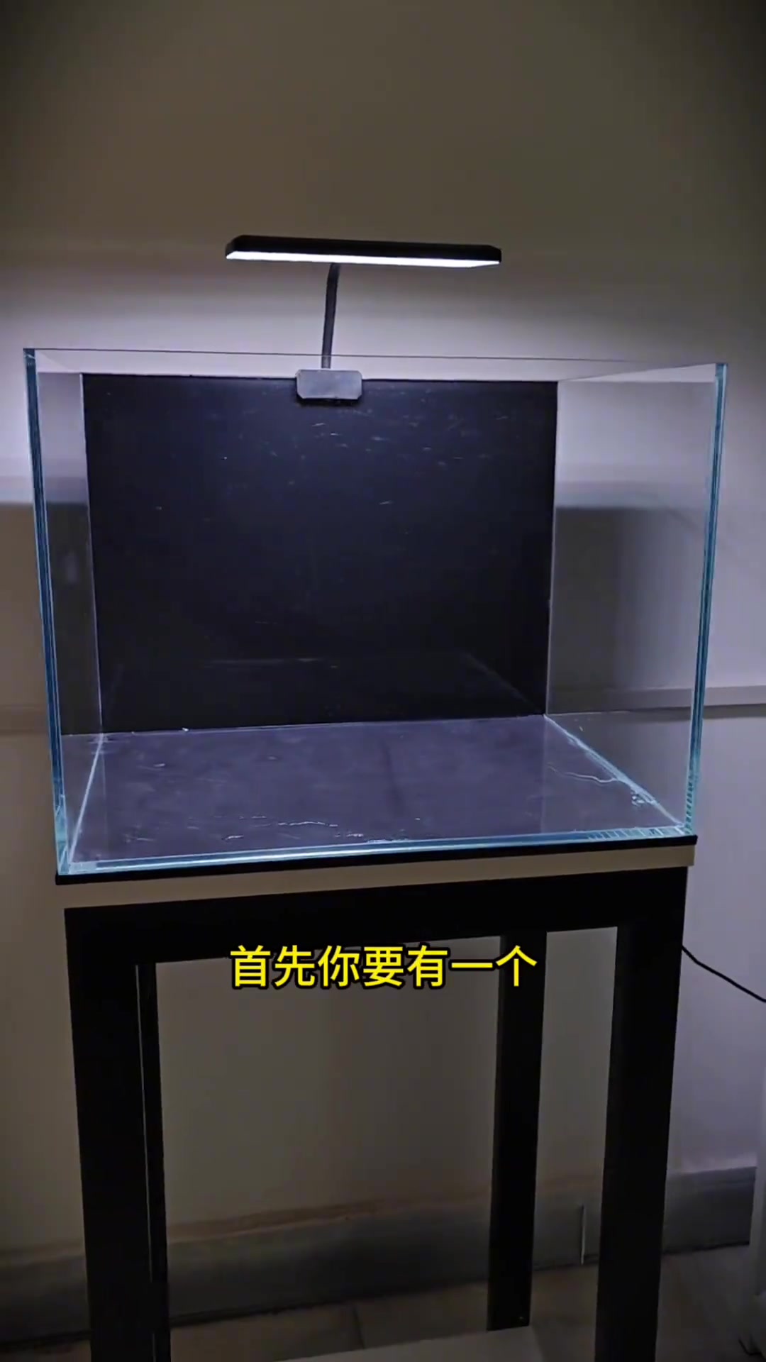 南美风鱼缸快速造景教程，适合养各种小型鱼~