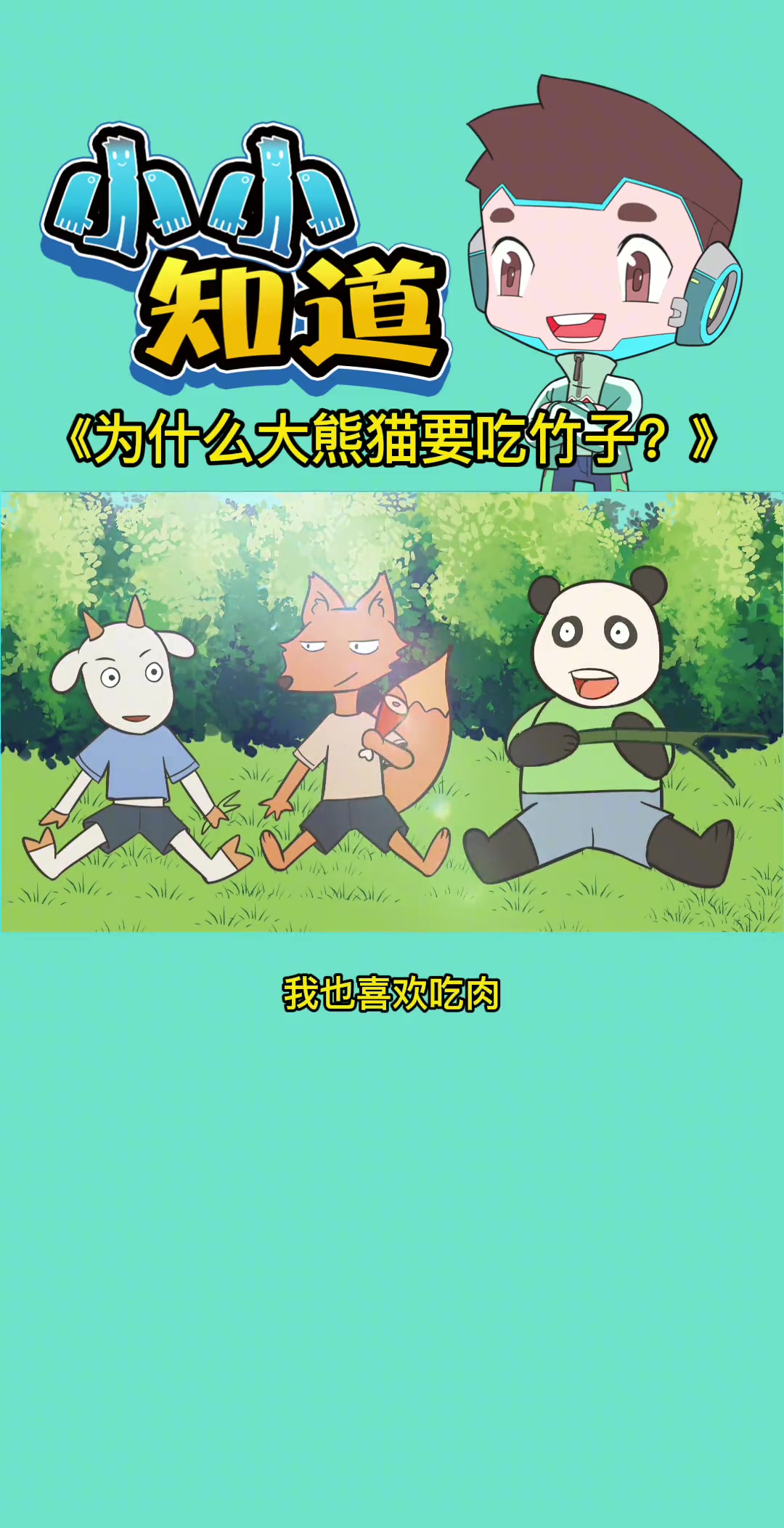 吃货本熊，为什么大熊猫要吃竹子？