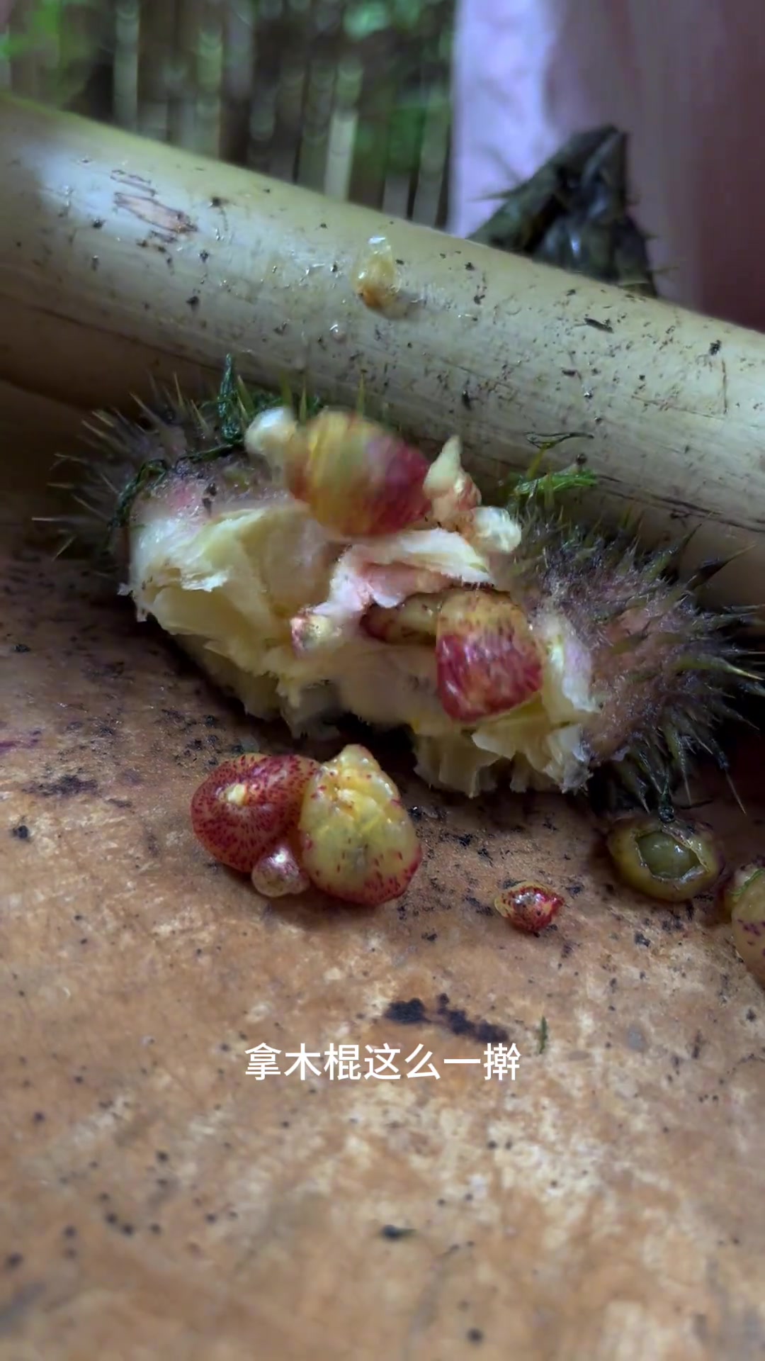 芡实鸡头米