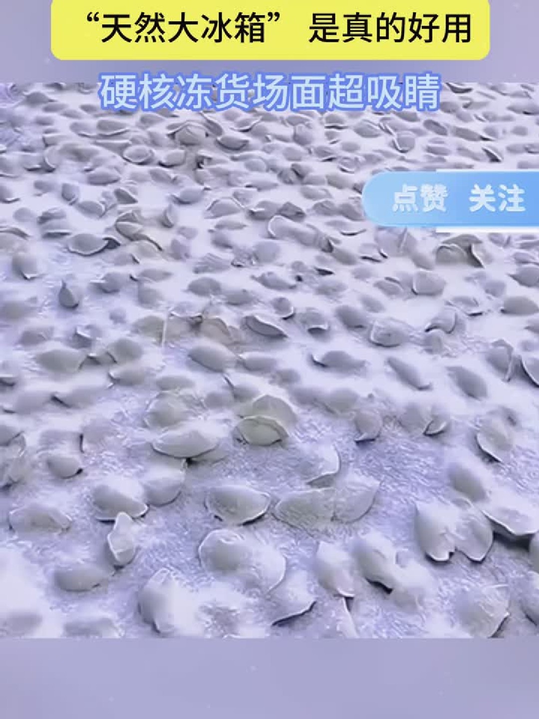 南方人看呆！东北室外大冰箱冻饺子太绝了