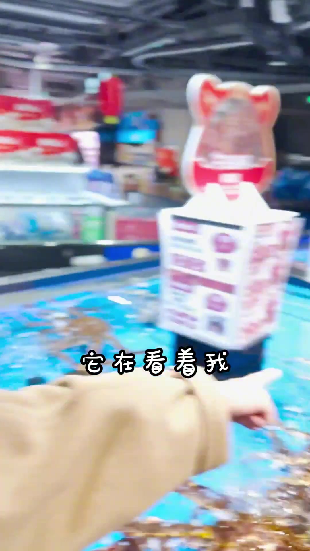 孕期忍了好久的螃蟹，今天过生日让老板娘吃个够，帝王蟹配热红酒