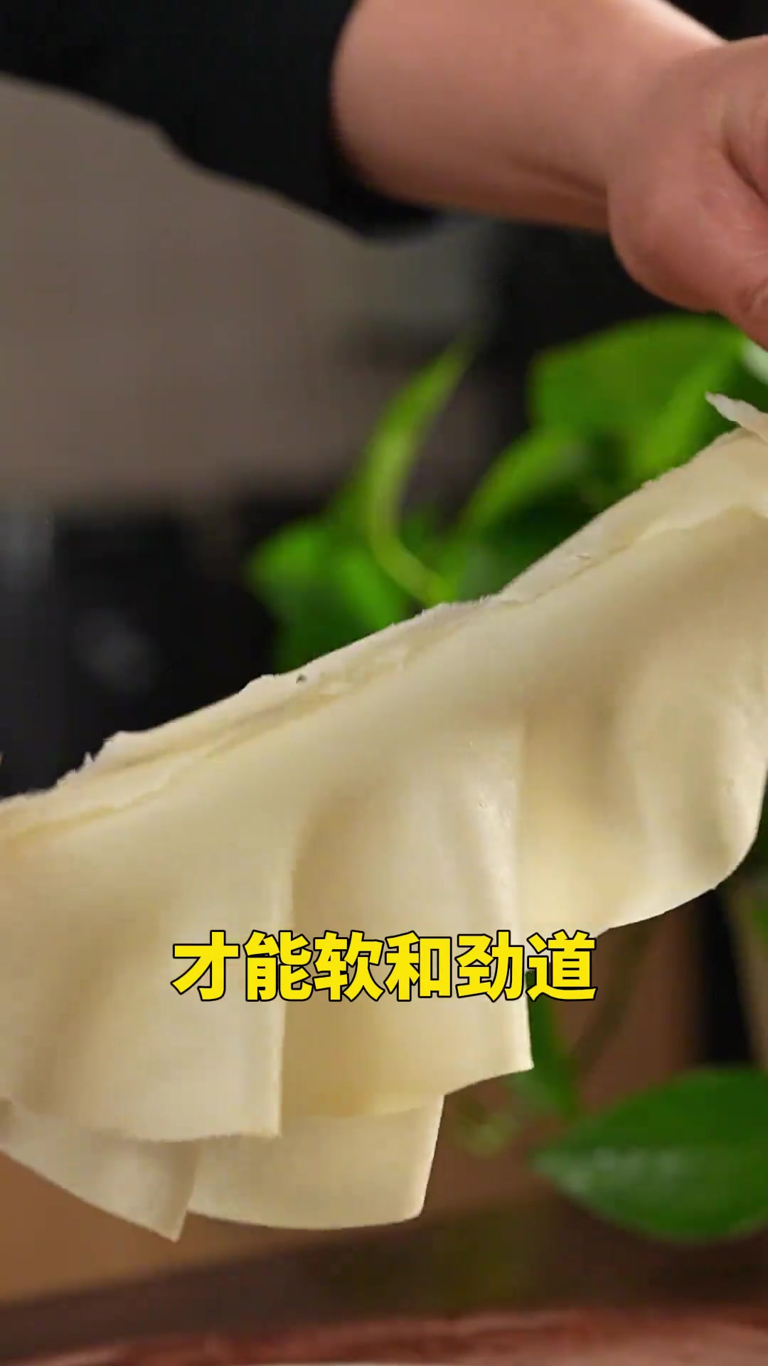 自己在家蒸春饼,怎么做的薄而不破,还特别好撕,今天教您详细自制春饼教程!
