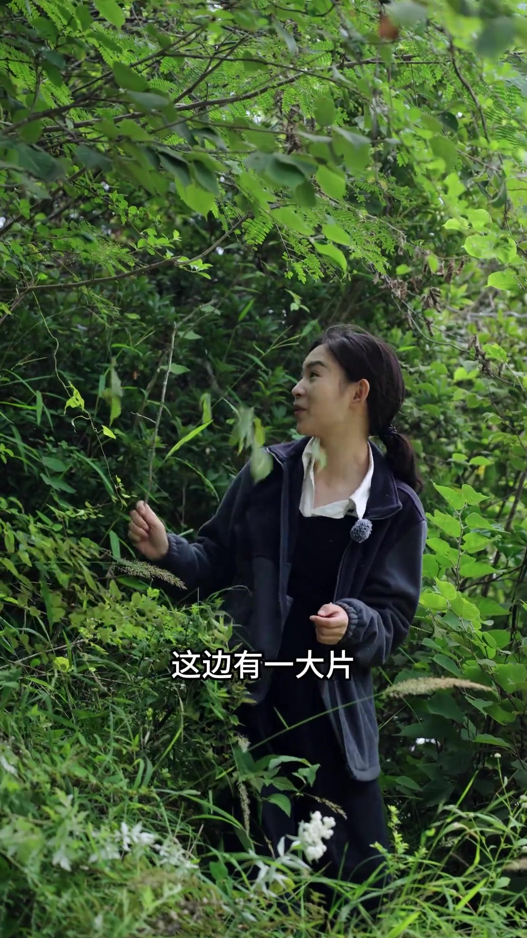 世界四大坚果之一榛子，你们知道吗？