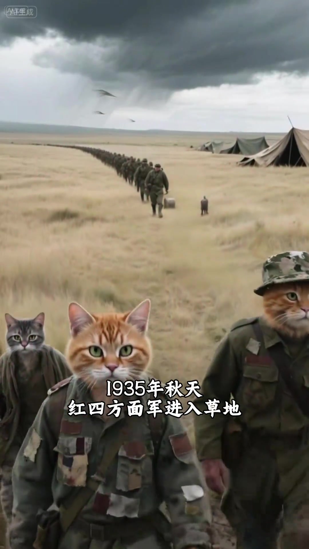那些语文课本里意难平的故事《金色的鱼钩》,老班长舍己为人,牺牲自己,