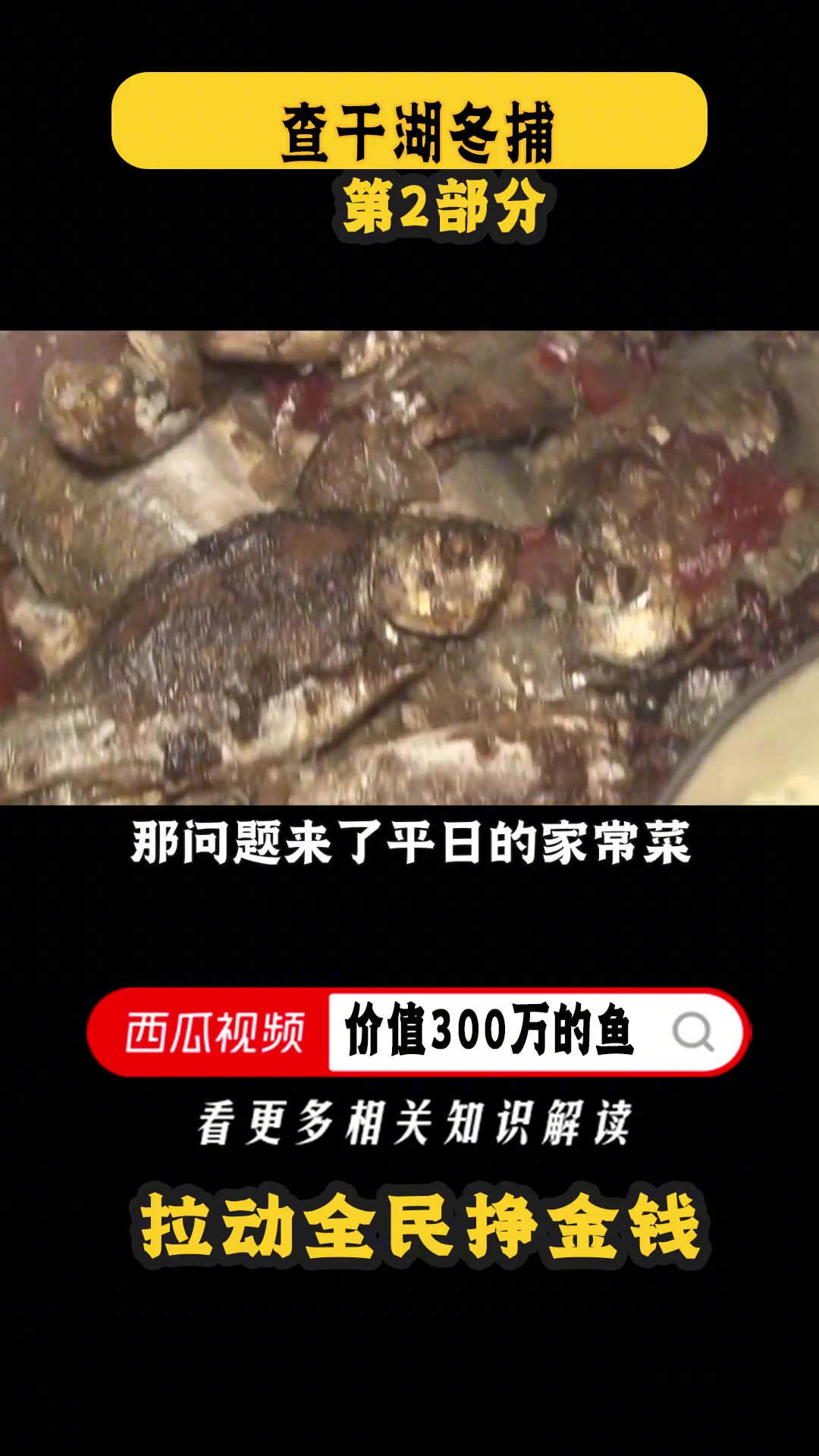 头鱼卖到天价,一网出水60万斤鱼,查干湖“洗澡鱼”真暗藏猫腻?