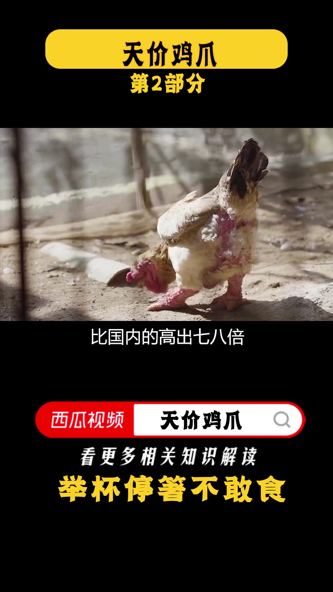 一双鸡爪卖到上万元，越南东涛鸡凭啥这样贵？引进我国会如何？