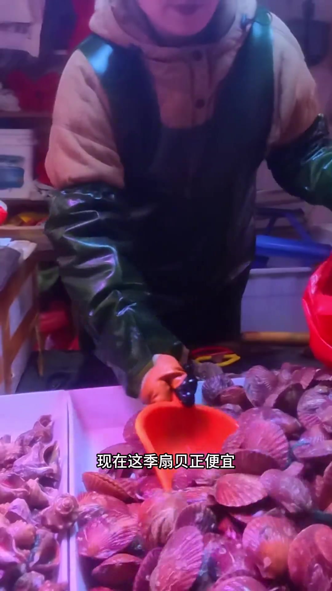 萝卜丝全贝汤 既是汤又是菜
