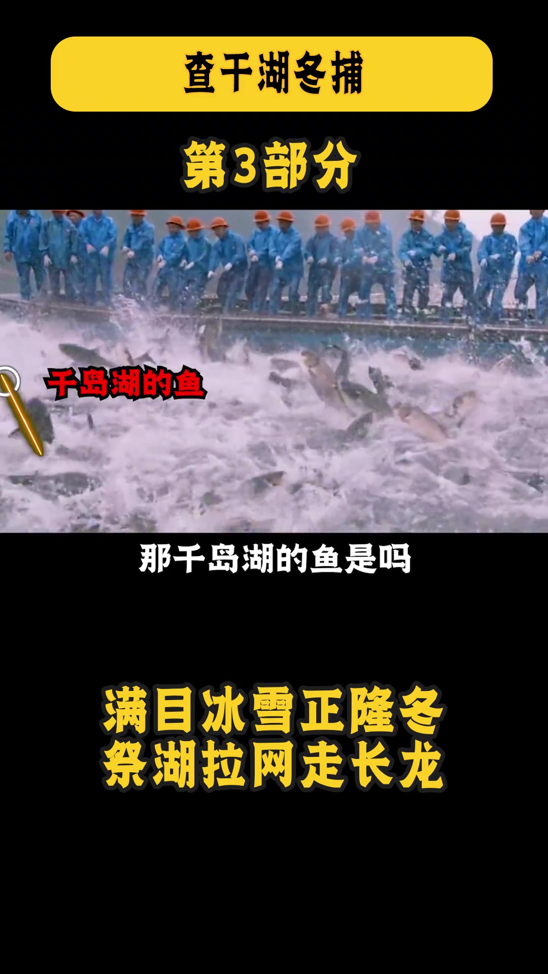 千岛湖有机鱼！查干湖胖头鱼！到底谁在弄虚作假。谁是洗澡鱼？