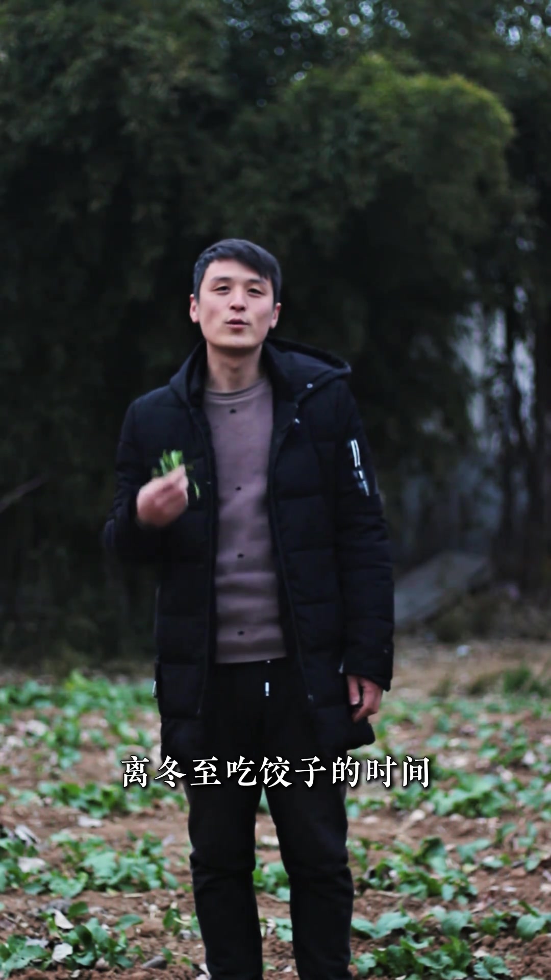 冬至要不要吃个荠菜馅饺子。 冬天的荠菜正是鲜嫩的时候,是万物凋零时节难得的药食两用野菜,爱