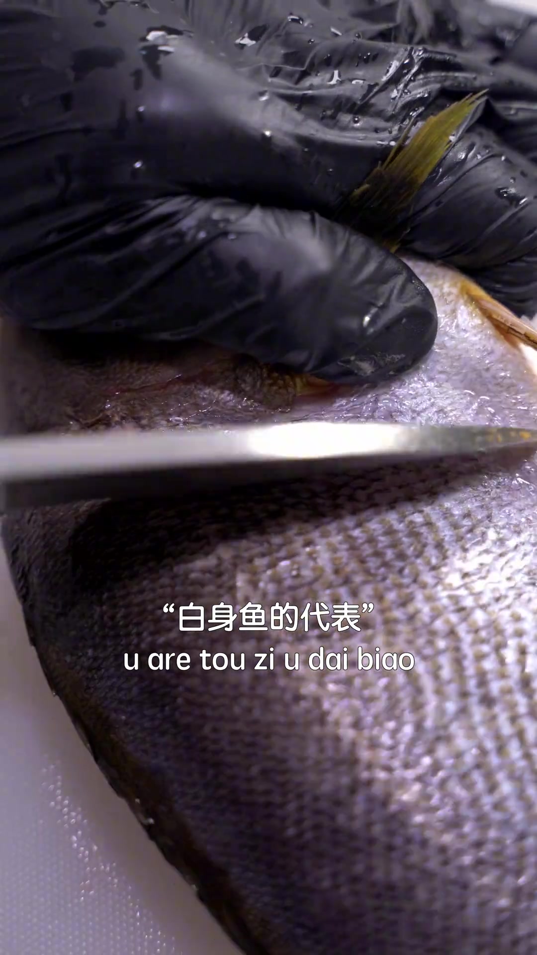 最近发现的宝藏鱼伊佐木,周33真心推荐!