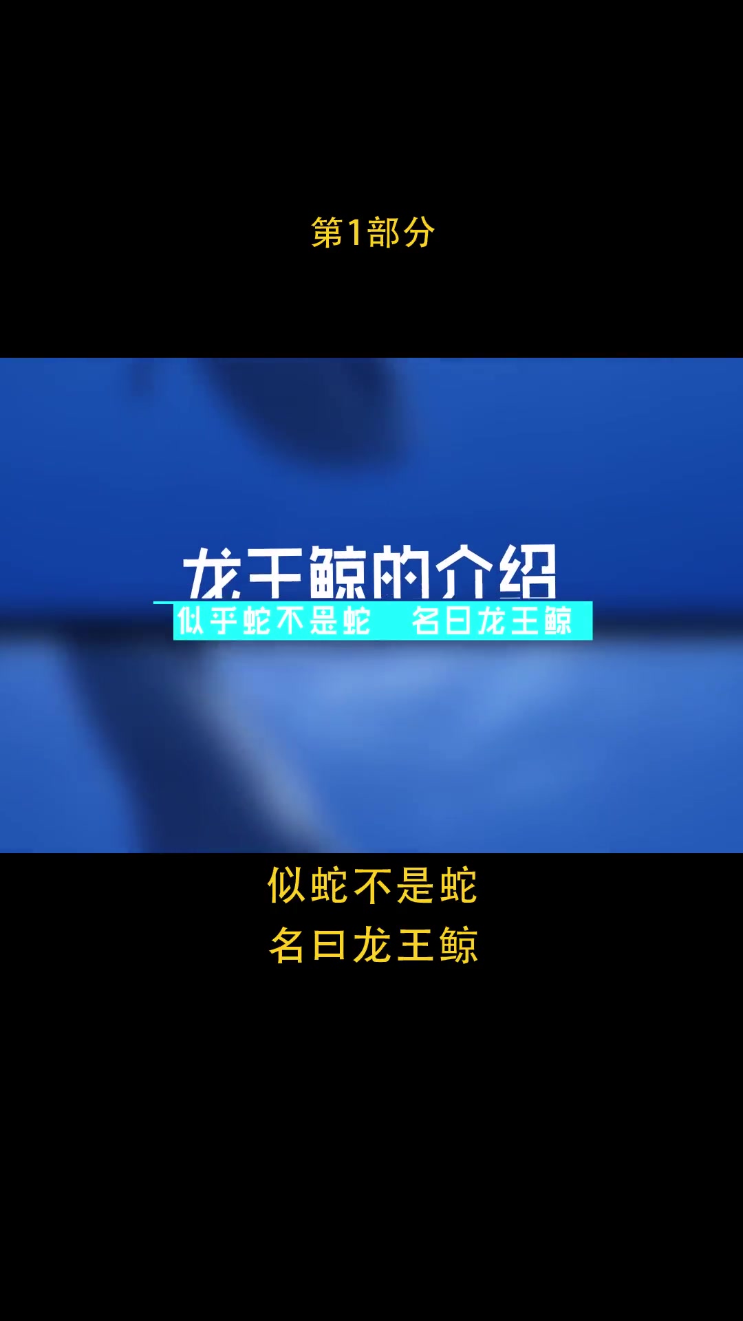 以鲨为食的远古浅海主宰者-龙王鲸