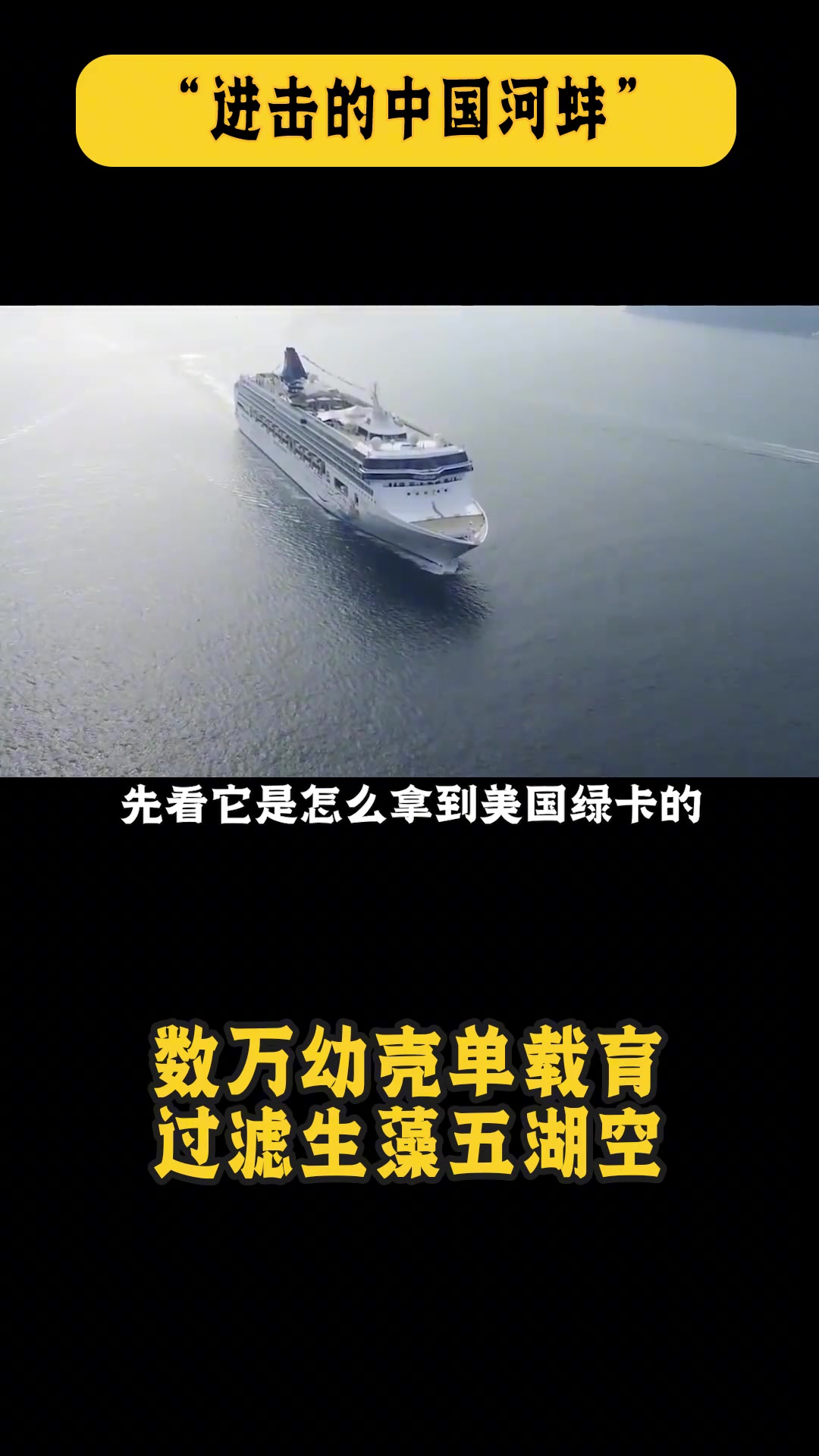贻贝在美国成入侵物种,在国内却成了一盘菜!欧美人为啥不吃?