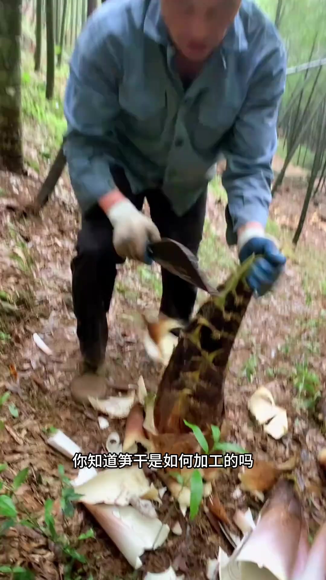 笋干的制作过程
