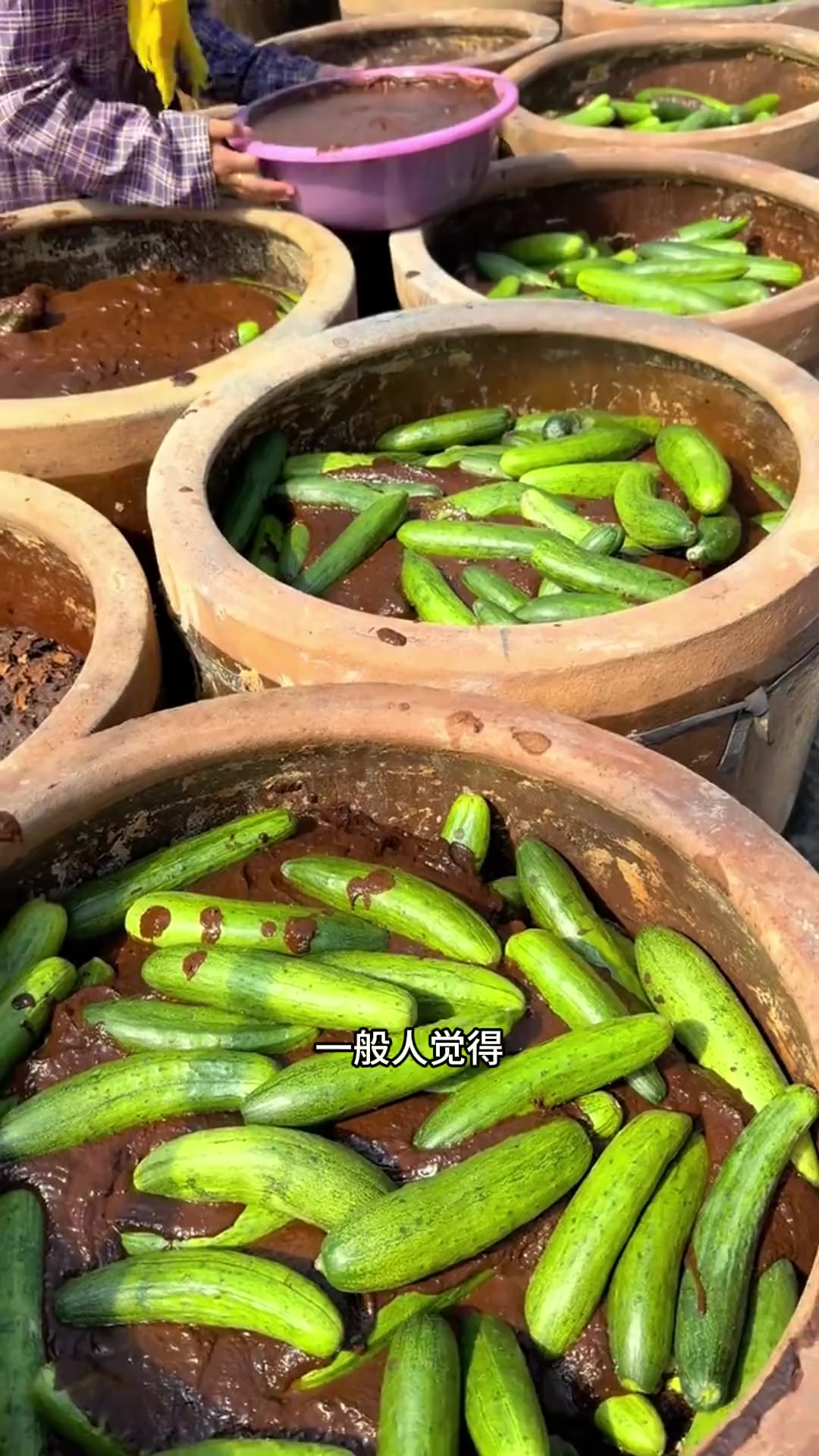 酱黄瓜