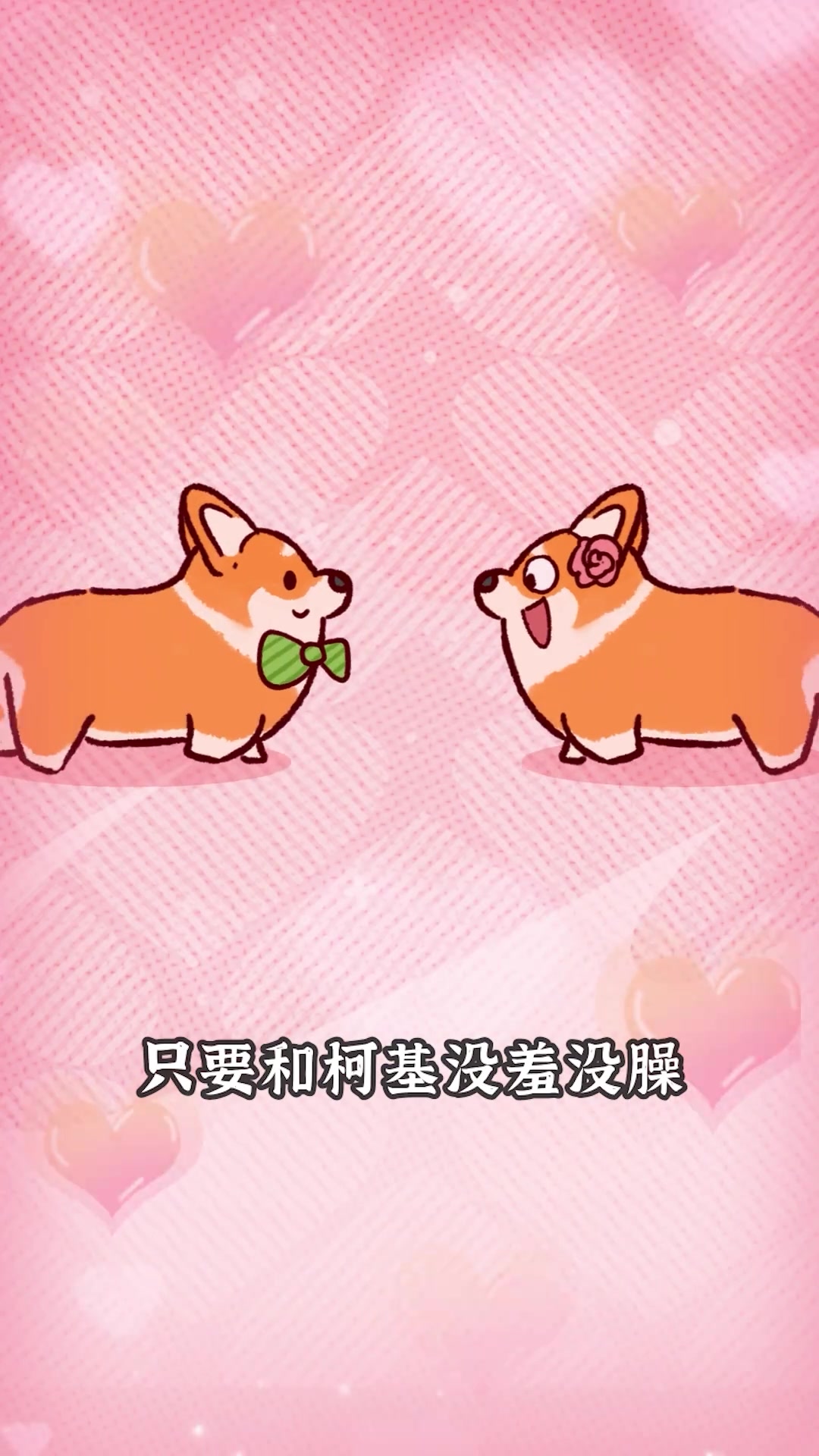 柯基的短腿基因有多强大? 不管什么品种的狗狗跟它结婚,生出来的后代都是短腿!绝了……
