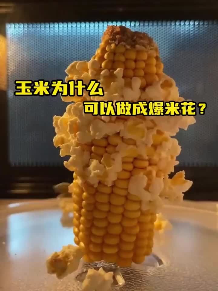 玉米可以制作爆米花，但你知道其中的原理吗？