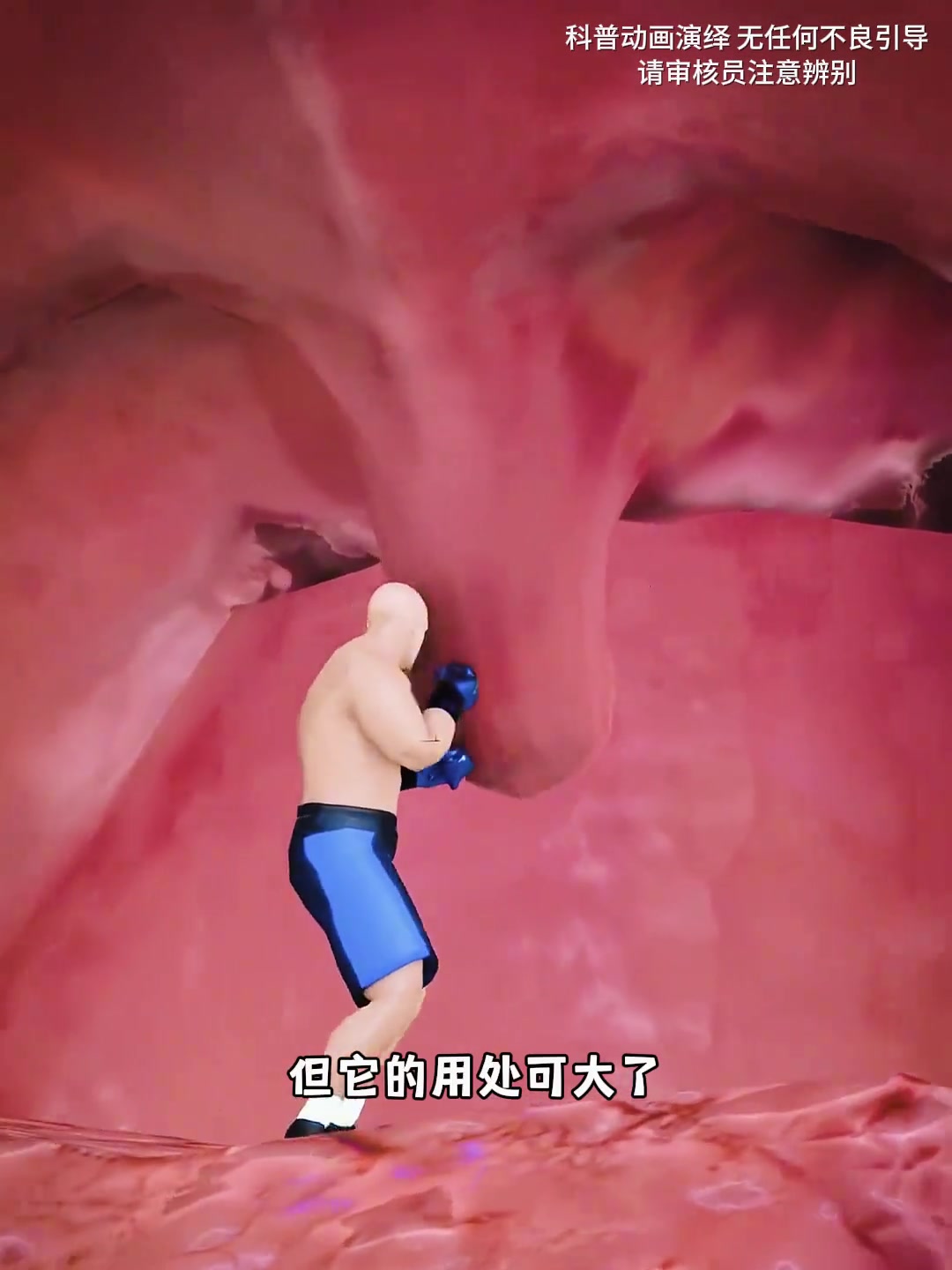 喉咙后面的小东西(悬雍垂)有什么用?