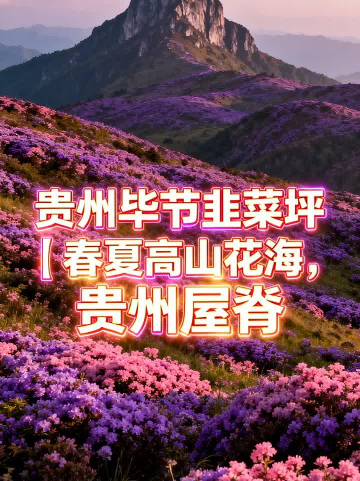 贵州毕节韭菜坪,春夏高山花海,贵州屋脊