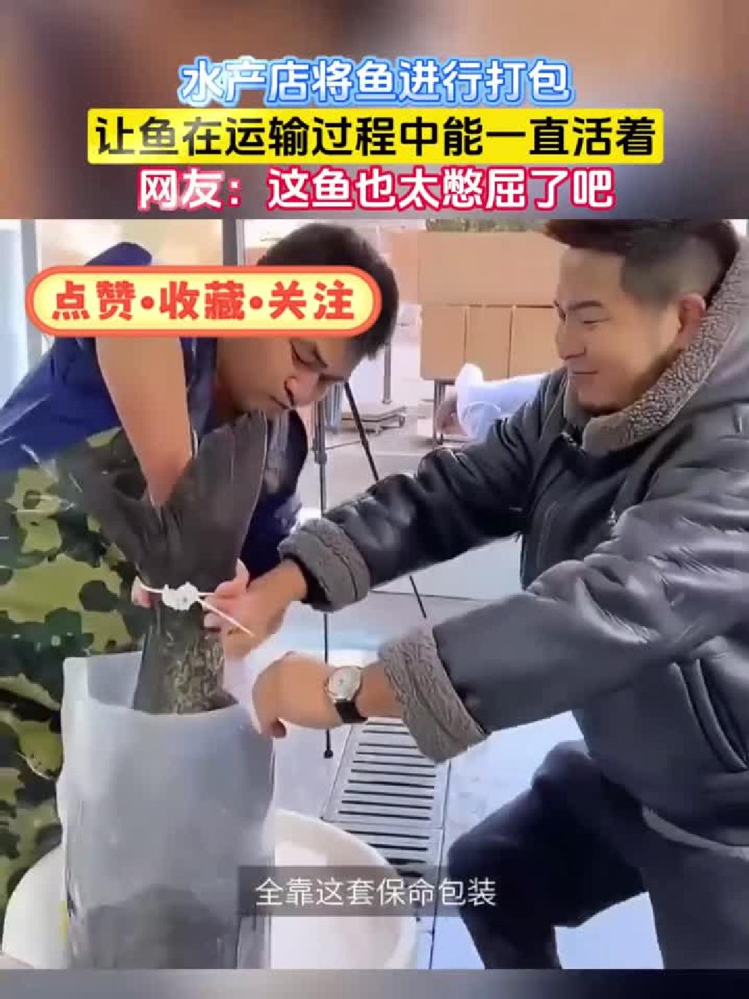 水产店打包活鱼运输妙招，确保鱼儿全程鲜活到家