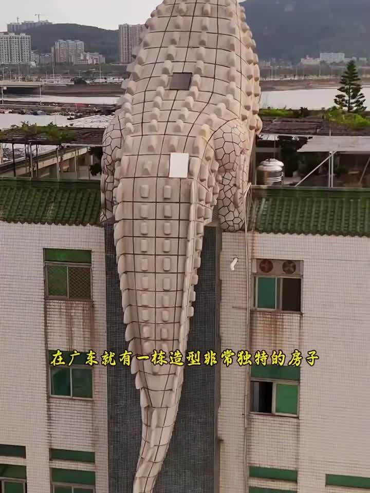 航拍：在广东发现一栋造型非常独特的房子，房顶上设计鳄鱼爬楼