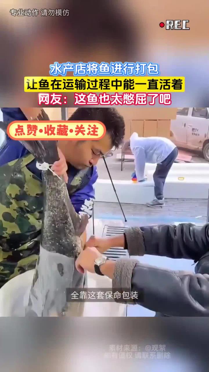 水产店将鱼进行打包,让鱼在运输过程中能一直活着