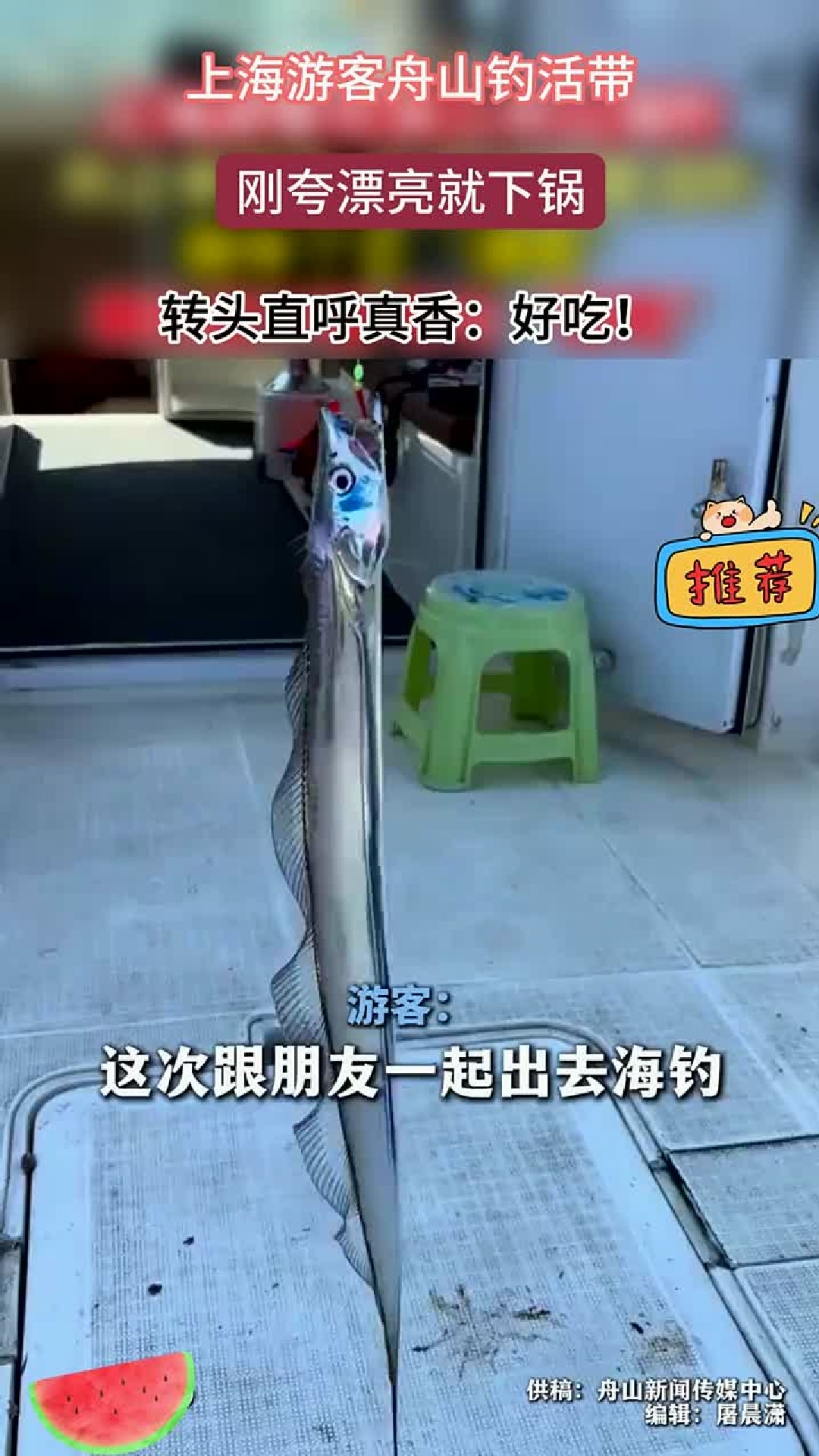 上海游客在舟山钓上活带鱼 前脚还夸“好看”，后脚就下锅