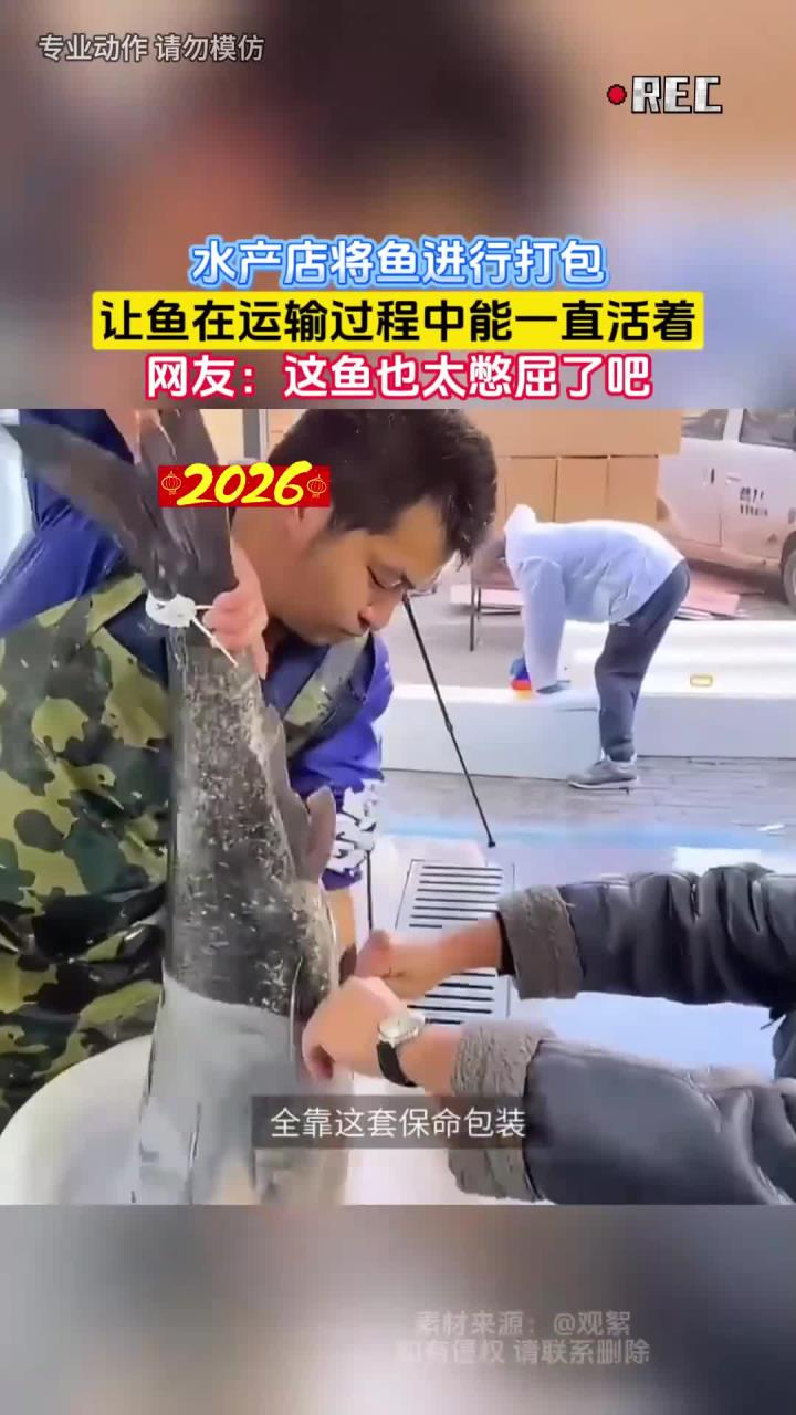 水产店将鱼进行打包,让鱼在运输过程中能一直活着,网友:这鱼也太憋屈了吧