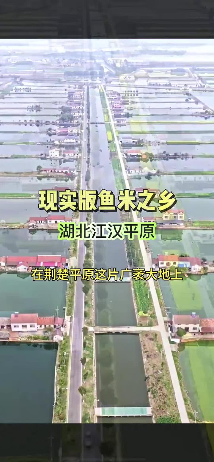 真正的鱼米之乡 千湖之省 湖北江汉平原