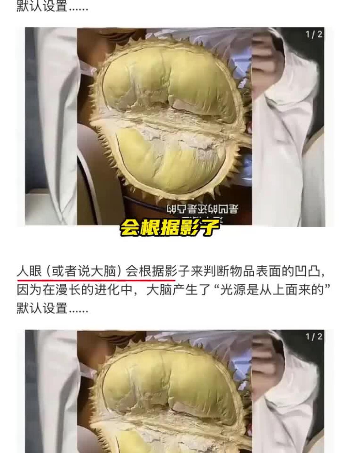 哈哈哈，脑子呢？这都能上当！