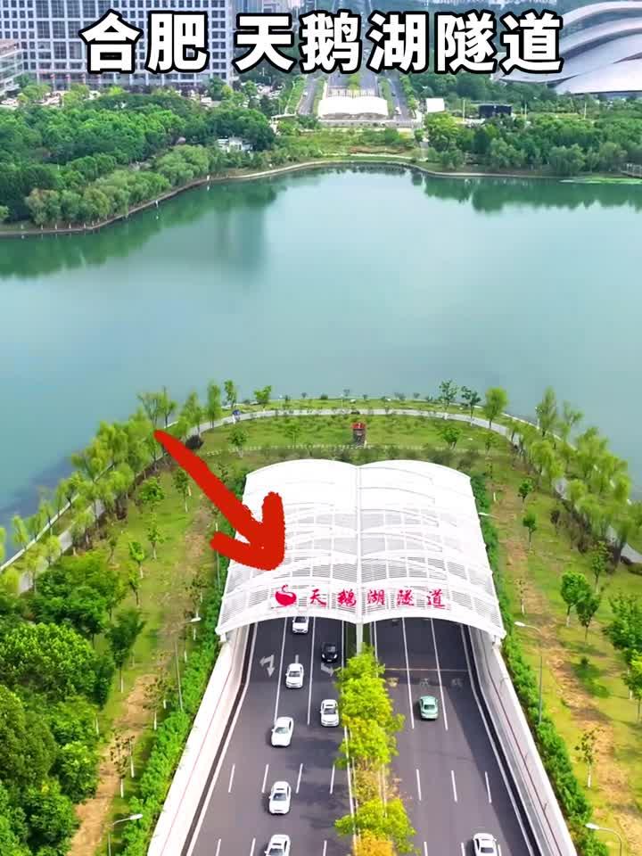 合肥天鹅湖隧道，既不破坏生态，又方便了通行，这样的设计，你觉