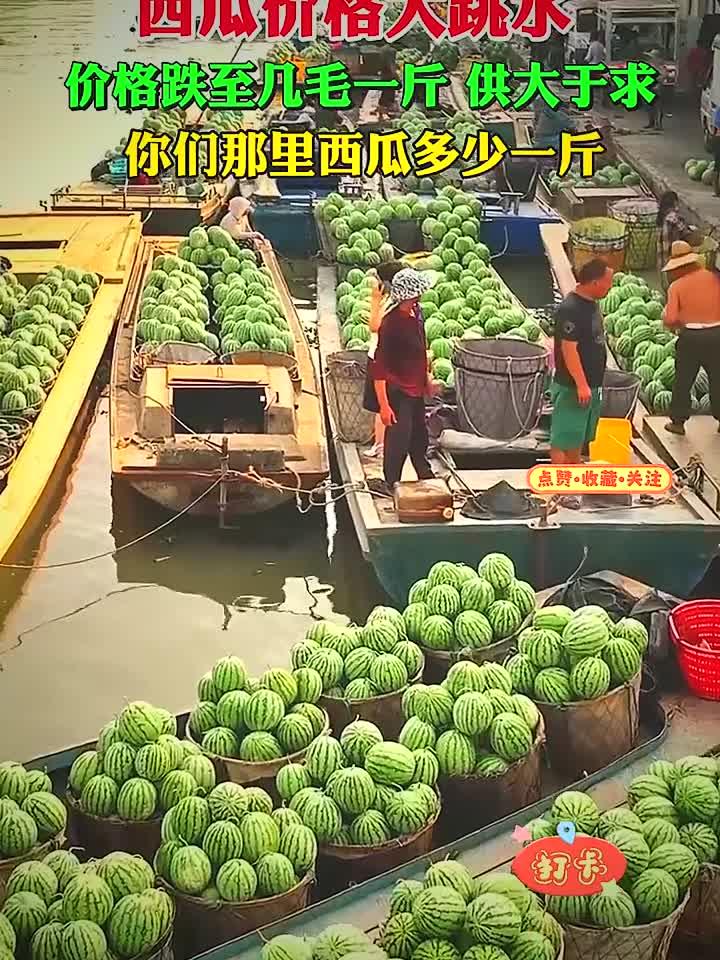 西瓜几毛一斤供大于求，你们那里多少钱？
