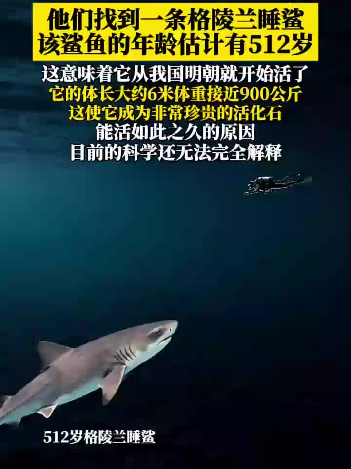 科学家发现512岁格陵兰睡鲨，体长6米重达900公斤。
