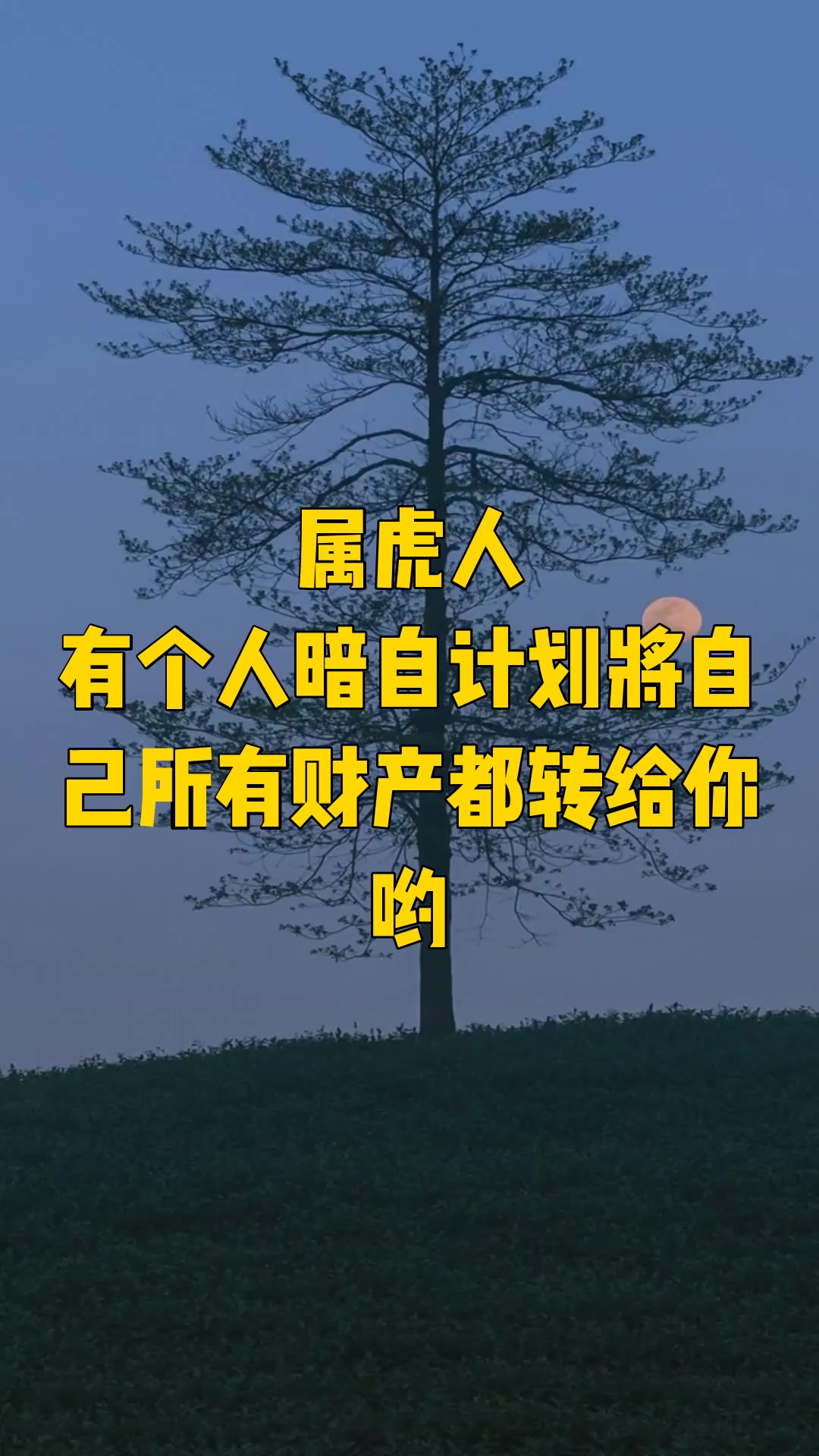 属虎人，有个人暗自计划将自己所有财产都转给你哟