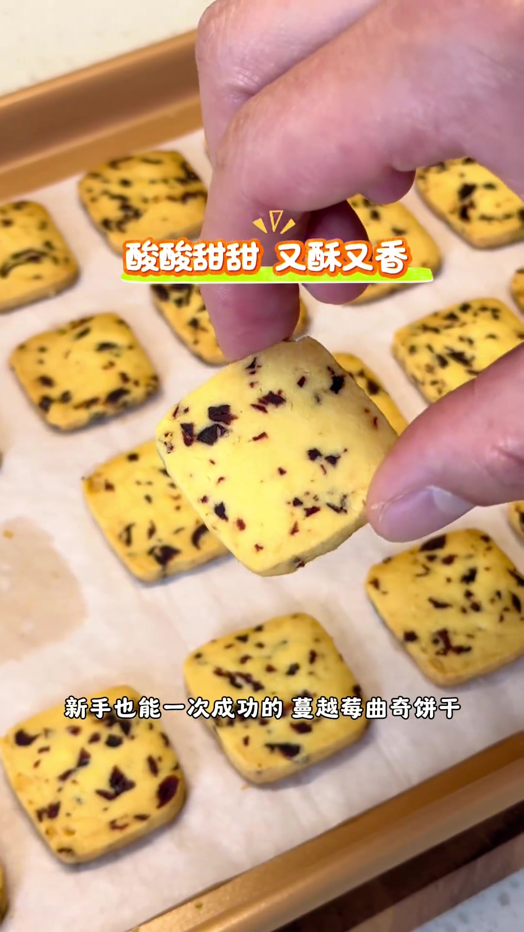 新手也可以成功的小零食主要是真的太好吃了 做法简单 食材简单 大人小孩都爱吃的蔓越莓曲奇饼