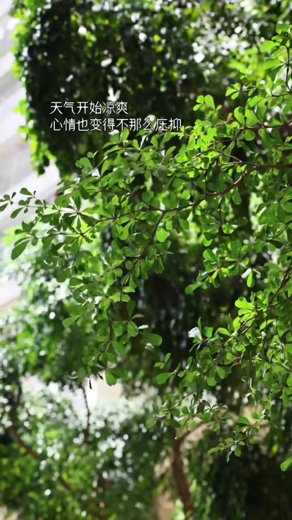 初秋的南瓜格外清甜那就给宝宝做这个奶香南瓜饼吧软糯糯的又香又甜给宝宝当早餐或下午茶点心都很