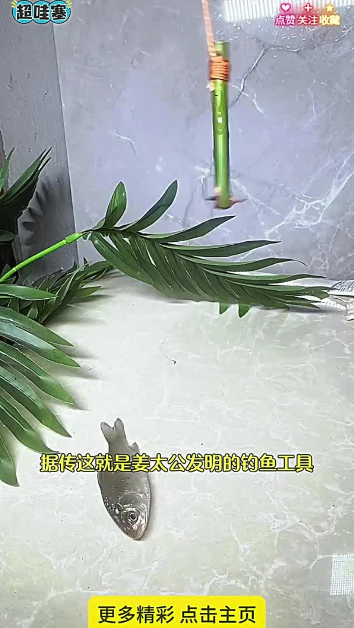 古代钓鱼小技巧 古代钓鱼小技巧