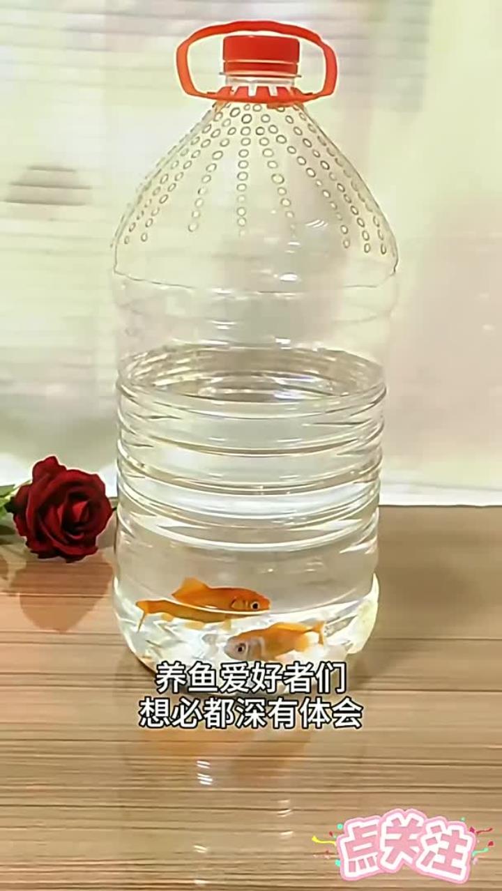 喜欢养鱼的大朋友、小朋友可以这样做一个鱼缸,换水超级方便!