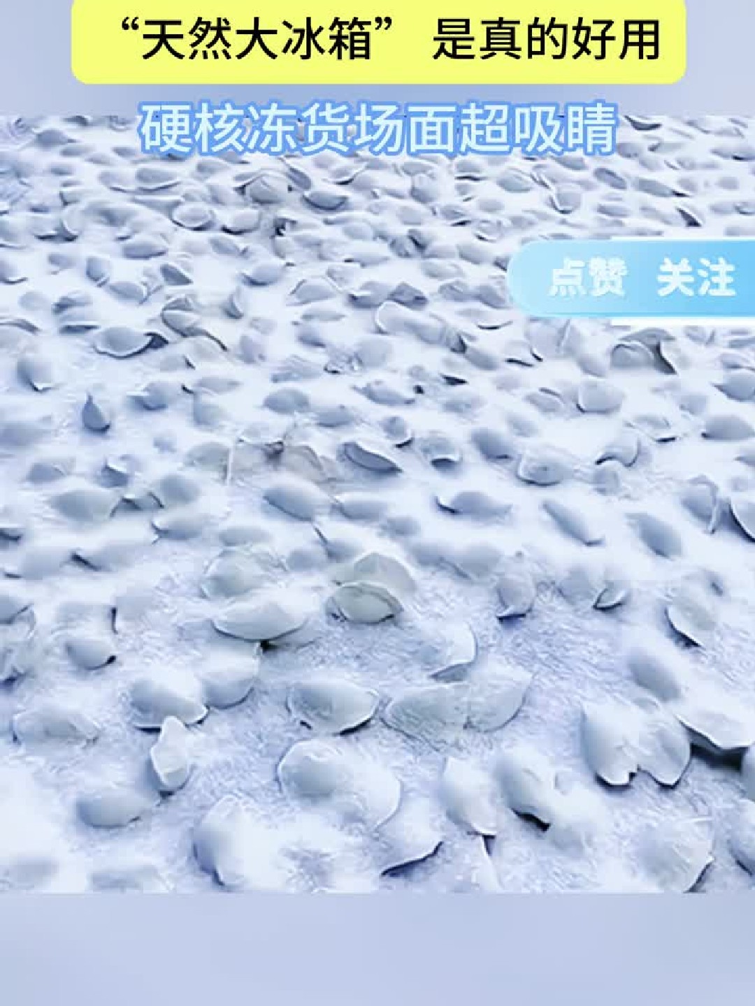 东北室外大冰箱震撼南方人：冻饺子现场太绝了