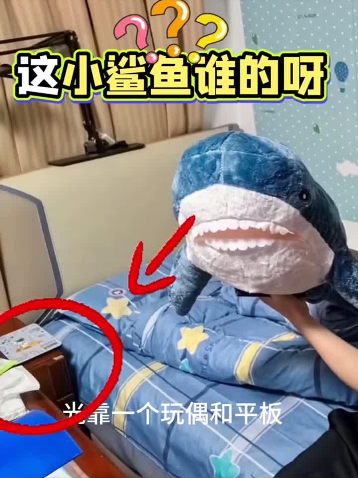 小鲨鱼到底属于谁呢
