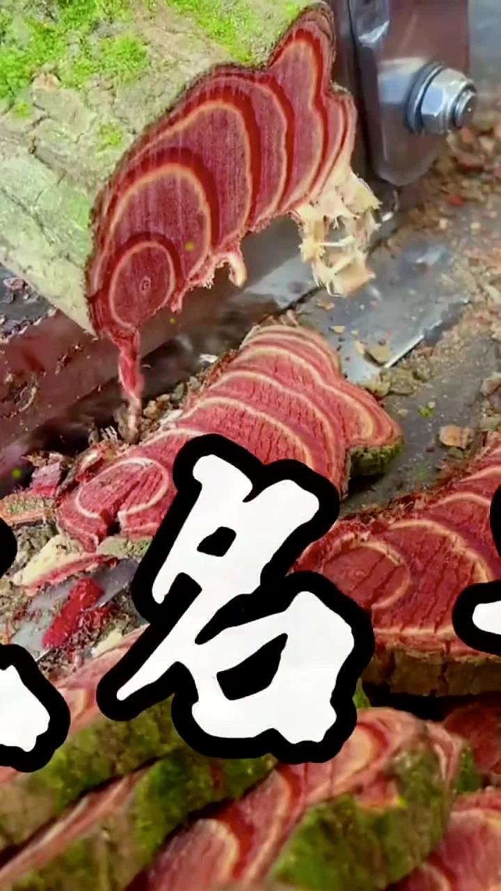 中国十大名贵中草药看一下你认得几种？野生药材食疗小妙招中药本草学习中医